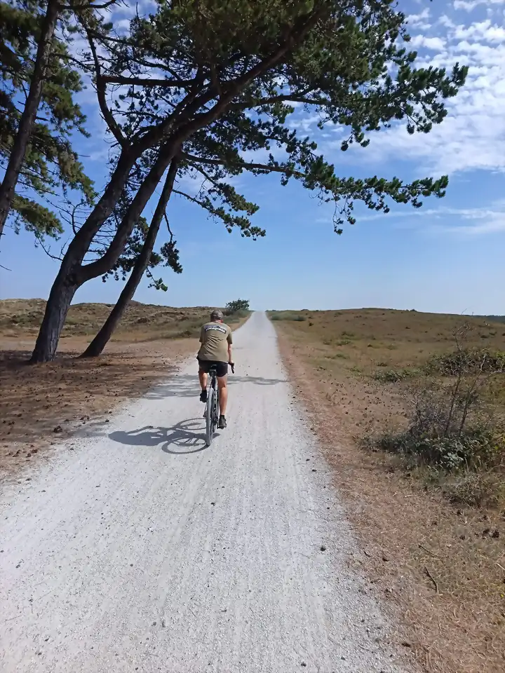 Fietser op een gravelbike op een breed wit schelpenpad door de duinen, onder een scheefgegroeide zeeden.