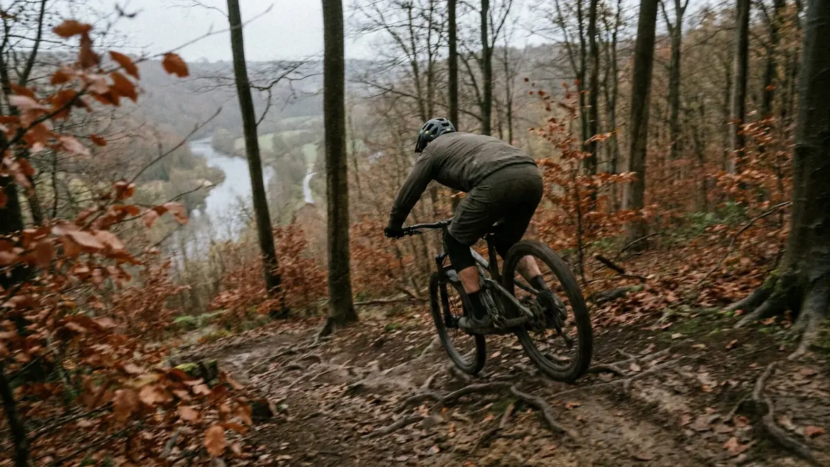 Een bospad dat vanaf een heuvelrug in de Ardennen naar een dal met een rivier afdaalt.